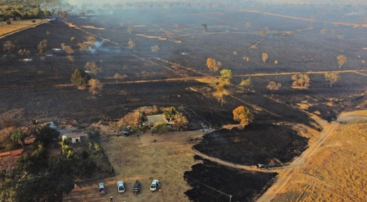 Imagem de compartilhamento para o artigo Incêndio se alastra e volta a causar prejuízos na cidade de Alcinópolis da MS Todo dia